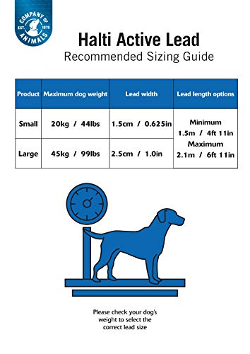 The Company Of Animals - Halti All-In-One Lead (6' 6"), Large, Purple, Halti All-In-One-Leash Purple Large #TOP5