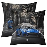 ★ El paquete incluye: 2 fundas de almohada de doble cara de 20 x 20 pulgadas, con cremallera. Relleno de almohada no incluido.