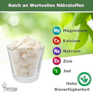 Tamay Seppia rottura in qualità premium (125 g), ottimale calcio e vitamina per tartarughe, barbagame, gechi, rettili – calce, calcare, accessori terrari
