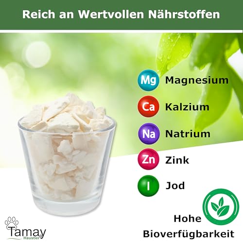 Tamay Sepiaschalen Bruch in Premium Qualität (125g) Optimale Kalzium und Vitaminversorgung für Schildkröten, Bartagame, Geckos, Reptilien - Futterkalk, Kalk, Terrarium Zubehör