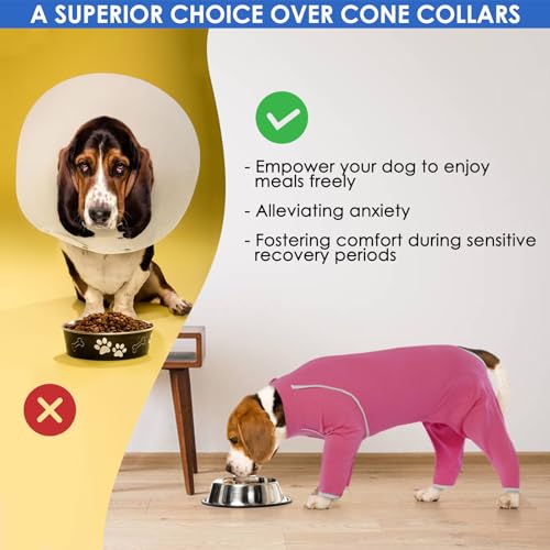 Image of Spay Recovery Female Dog - Rose, Large - Surgery Suit for Dogs Female After Spaying, Substitute E-Collar & Cone, Dog Surgery Suit for Shedding, Prevent Licking Surgical French Bulldog
