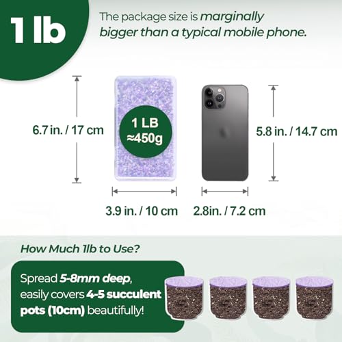 Image of T4U Tumbled Chips Stones Crushed Crystal Quartz 1 LB, Irregular Shaped Gravels Pebbles Healing Stones, DIY Smoothed Rock for Potted Plant,Resin Art,Vase Fillers Aquarium Gravel Rocks (Amethyst)