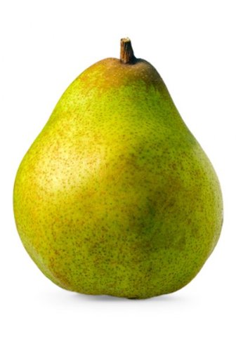 Forelle Pears Bulk Case - 22 Lb of Premium Miniature Variety Pears, Crisp and Firm for Culinary Professionals, Ideal for Gourmet Dishes & Desserts
