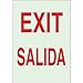 BRADY Exit Sign 10 x 7In R/WHT Exit/Salida