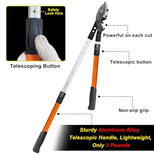 Tijeras poda para árboles con mango telescópico 26-40 pulg miniatura 3