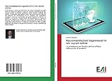 VDM Verlag