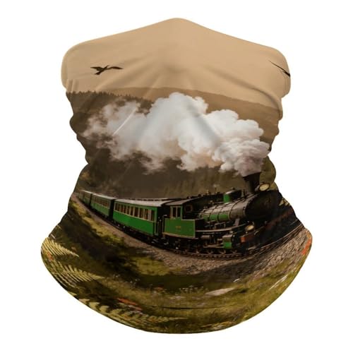 Steam Car in The Woods Neck Gaiter Face Cover Scarf Breathable Sun Balaclava for Skiing Fishing Hiking Cycling
