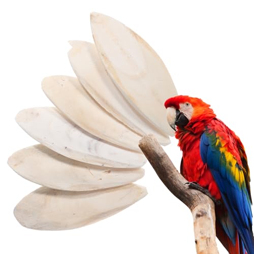 6 Pcs Bird Cuttlebone Chew Toy, Natural Bird Cuddle Bone Cuttlefish Bone for Parrot Cockatiel Budgie Tortoise Reptile Turtle Snails Parakeet Treats Supplies