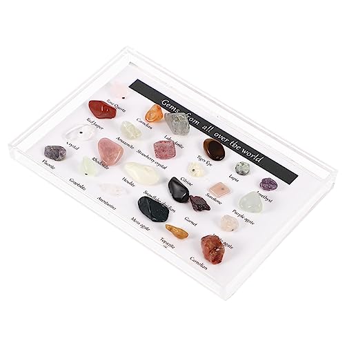 FOYTOKI Set of Pcs Natural Stone Specimen Decor Irregular Stone Adornments for Desktop Man Geology Lovers