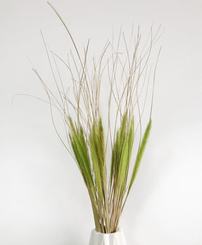 Dried Wolf Tails Grass Natural Bunny Tail Grass Lagurus Ovatus miniatura 3