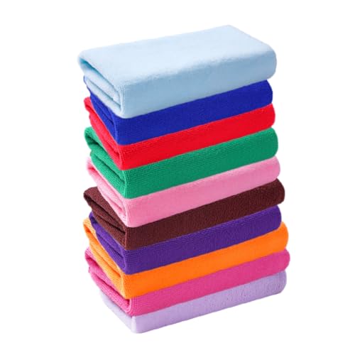 ELAYARD 10 z}CNt@Co[NX prtFCX^I ɗD|GXe@ې  e _J[