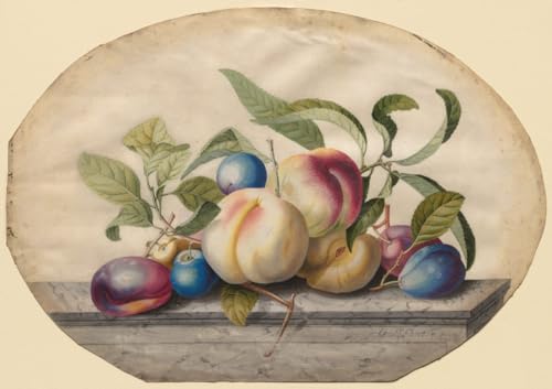 Peinture sur toile de fruits Georg Dionysius Ehret pour bureau 60x90cm