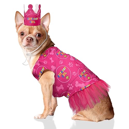 Odi Style Dog Birthday Girl Outfit - p[eB[nbgANEƃhXAo[Xf[K[TCAqp[eB[TVcLʋCXgb`RX`[S