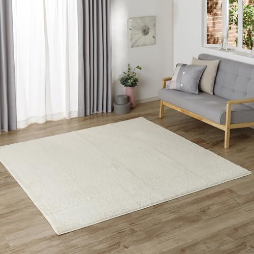 �J�C���Y(CAINZ) �􂦂�V���M�[���O ��190cm ���s240cm �A�C�{���[ ��Pet �y�b�g�̒܂��|����ɂ��� ���ۖh�L �􂦂� ���ׂ�~�߉��H ���g�[�Ή� �J�[�y�b�g �y�b�g�}�b�g