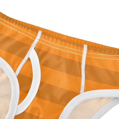 Orange Brown Stripe Toddler Boy's Underwear 2T4