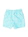 RUGGEDBUTTS Boys Classic Gingham Swim Trunks - UPF 50+ Sun Protection Fashion Swim Trunks