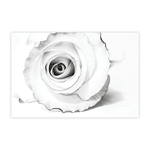 Large Minimalist Flower Wall Art Print, Modern Bathroom