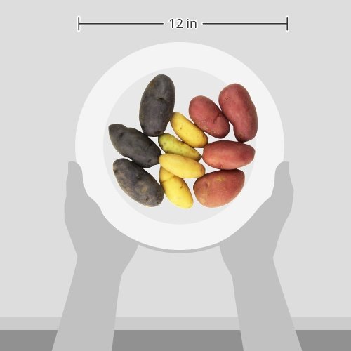 Organic Fingerling Medley Potatoes, 24 Oz