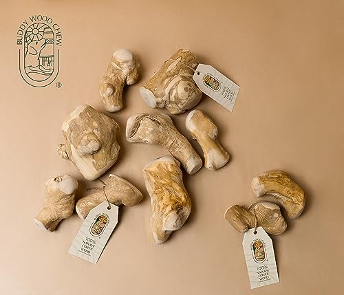 Coude à mâcher pour chien robuste en bois Gorilla Chew durable