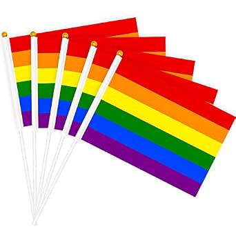WEITBF 12 Kleine Progress Pride Flaggen – 20,3x30,5 Cm, Mit Holzstab (45,2 Cm), Für Dekoration & Events