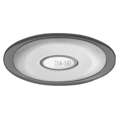 TONIXY Coussin ovale et montage arrière avec fenêtre à DEL, appui-tête de spa pour jacuzzi série J-300, compatible avec les modèles 2014 et 2007-2013 (1 pièce)