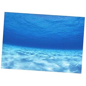 Fityle 3D decoratieve aquariumachtergrond, poster, vistank, statische achtergrondstof, zelfklevend, onderwaterwereld…