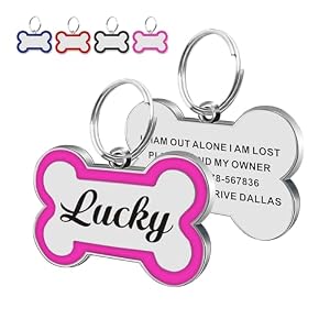 Dog Tags Personalized for Pets Dog ...