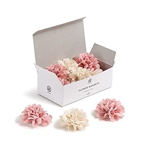 U Manufacturers Mini Flower Magnets Set, Workplace Provides, Pink and Cream, 12 Depend