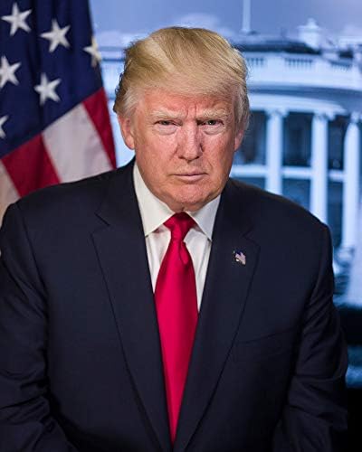 Frame a Patent Donald Trump Photograph - Historical Artwork from 2016 - US President Portrait - (8" x 10") - Semi-Gloss
