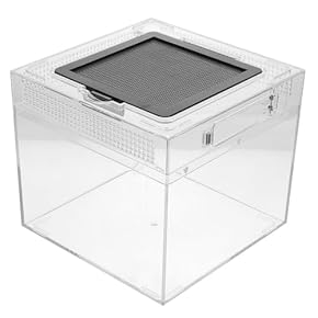 魚繁殖用タンク - Amazon.co.jp