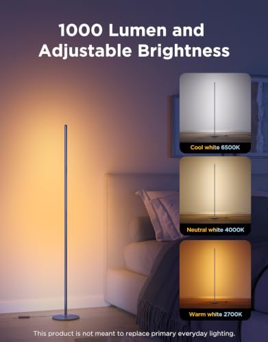 Image of Govee RGBIC Floor Lamp Basic, 1000lm LED Corner Lamp, Blue