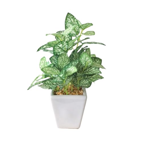 �R�v ���� �ϗt�A�� �y�y���~�A�|�b�g �z���C�g�O���[�� 20cm 2603-3005 CT�G�}���H �l�H�ϗt�A�� �t�F�C�N�O���[�� mgr