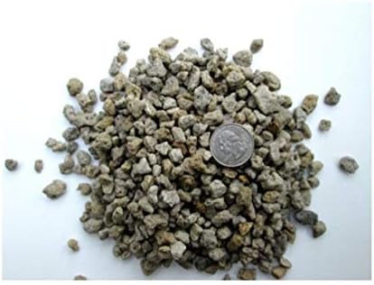 Pumice - 3/8" - 1/4" 10 Cups for Bonsai Soil, Succulents, Cactus & Soil mixes