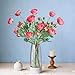Elyjhyy Artificial Ranunculus Flowers with Real Touch Stem Spray for Home Garden Decoration (Dark Pink)