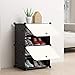 VOCD Scarpiera Portatile Negozio di Scarpe Organizer Tower Cassetto Modulare per Armadi Salvaspazio Scarpiera Ripiani per Scarpe Stivali Pantofola Nero