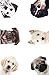Internet Password Organizer: Puppy Love (Discreet Password Journal)