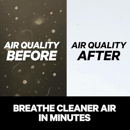 True HEPA Air Purifier for Allergies