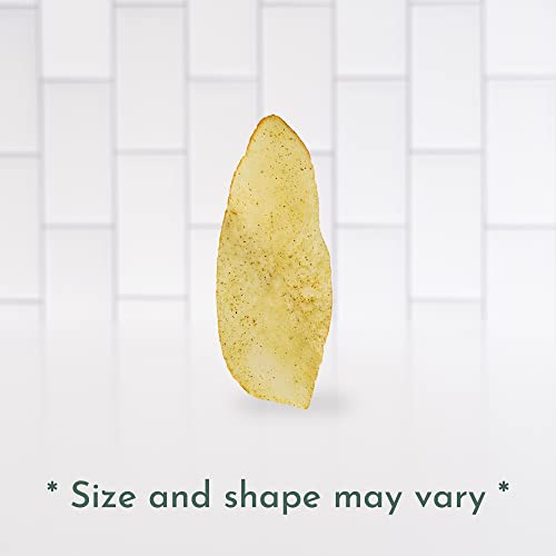 Artisan Tropic Cassava Strips - Vegan, Paleo, Gluten Free Chips – Non-Gmo Healthy Snack Potato Chip Alternative For Lunches, Dipping, Parties - Baked Cassava Flour Chips – Jalapeno (4.5 Oz - 12 Pack) #TOP4