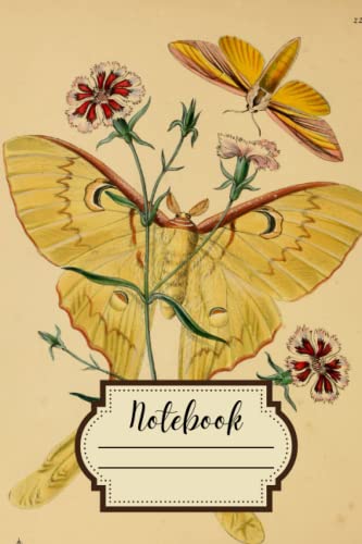 Notebook: Beautiful Vintage Butterfly Illustration Journal. Natural History and Natural Sciences Illustrations image 2