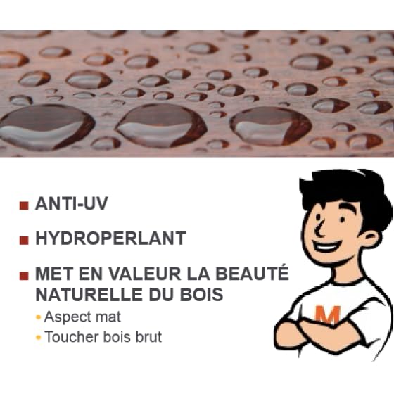 Huile terrasse bardage 10L Bois naturel - BLANCHON