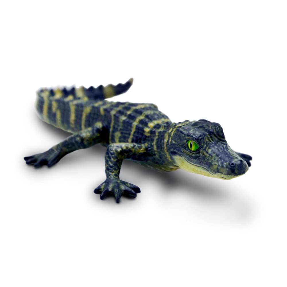 Safari Ltd.Alligator Baby Figure, 4.5 Inch Detailed and Realistic Toy Figure, Non-Toxic and BPA-Free, Suitable for Children from 3 Years