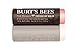 Burt's Bees 100% Natural Tinted Lip Balm, Pink Blossom with Shea Butter & Botanical Waxes – 2 Tubes