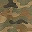 Green Camo