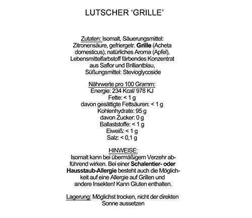 Essbare Insekten Snack-Set: Insektenriegel, Insektenlutscher & Insektenschokolade - Insekten zum Essen von SNACK insects