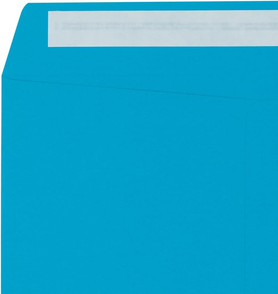 LUXPaper 10 x 13 Open End Envelopes | Peel & Press | Pool Blue | 80lb. Text | 1,000 Qty