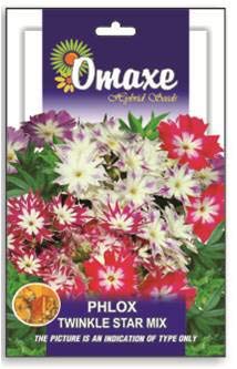 Phlox Twinkle Star Mixed Flower Seeds Kitchen Garden Packet (B07MJLF6BN) Amazon Price History, Amazon Price Tracker
