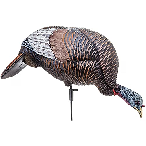 Flextone Hunting Lightweight Ultra Realistic Lifelike Plastic Outdoor Thunder Chicken Feeding Hen Turkey Decoy