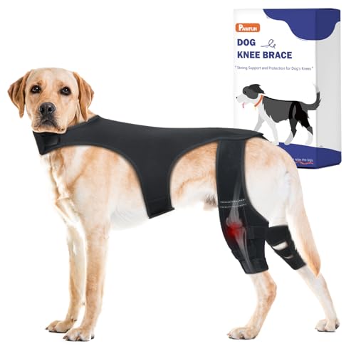 Image of Dog Knee Brace for Hind Legs- Adjustable Dog Leg Brace for Both Back Leg Helps with Torn ACL, Luxating Patella, Ligament Injuries & Arthritis, 3XL