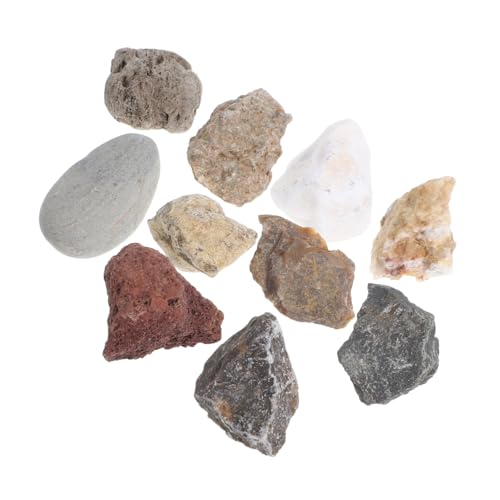 Luxshiny Rock Collection for Boys and Girls Interactive Geology Specimen Kit for Classroom and Home Education