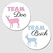 40 Gender Reveal Party Stickers - Team Buck & Team Doe Gender Reveal Labels - Gender Reveal Party Stickers